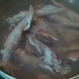 魚屋さんで教わったやりいかのボイル術 レシピ 作り方 By さとママ3645 楽天レシピ 魚屋さんで教わったやりいかのボイル術 レシピ 作り方 By さとママ3645 楽天レシピ